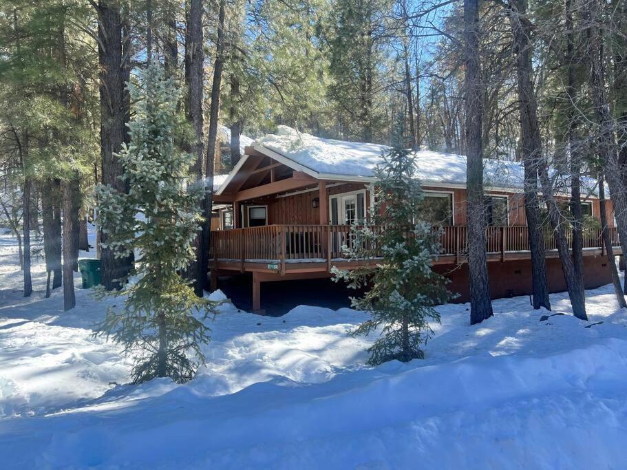The Bluejay Cabin At Munds Park, Az! Sedona Dış mekan fotoğraf