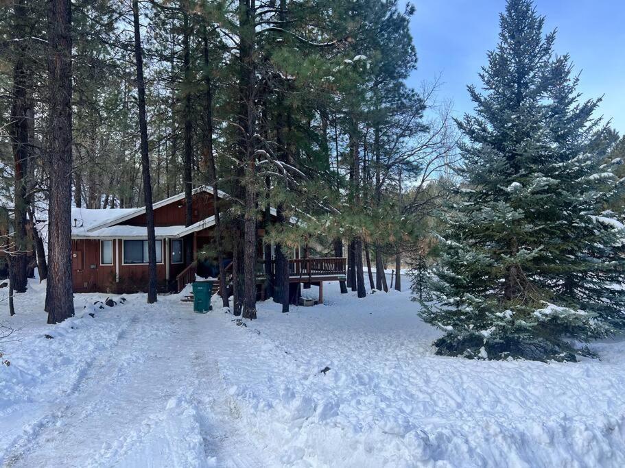 The Bluejay Cabin At Munds Park, Az! Sedona Dış mekan fotoğraf