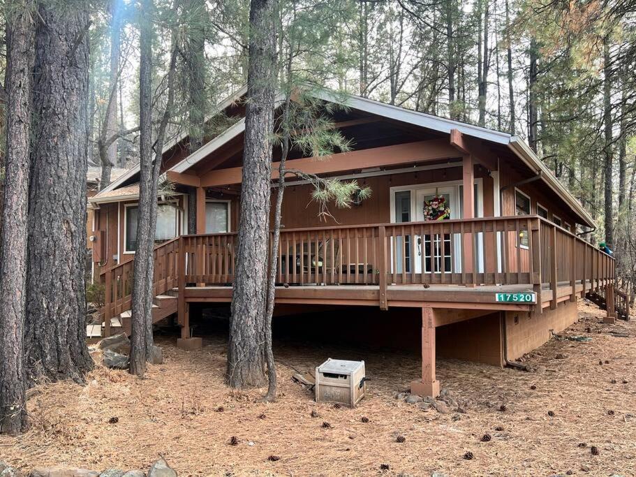 The Bluejay Cabin At Munds Park, Az! Sedona Dış mekan fotoğraf