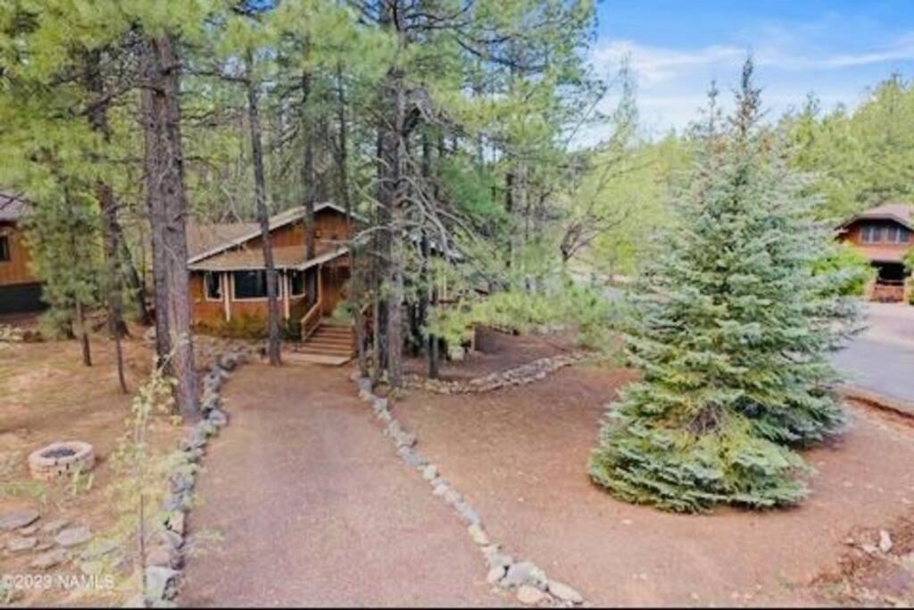 The Bluejay Cabin At Munds Park, Az! Sedona Dış mekan fotoğraf